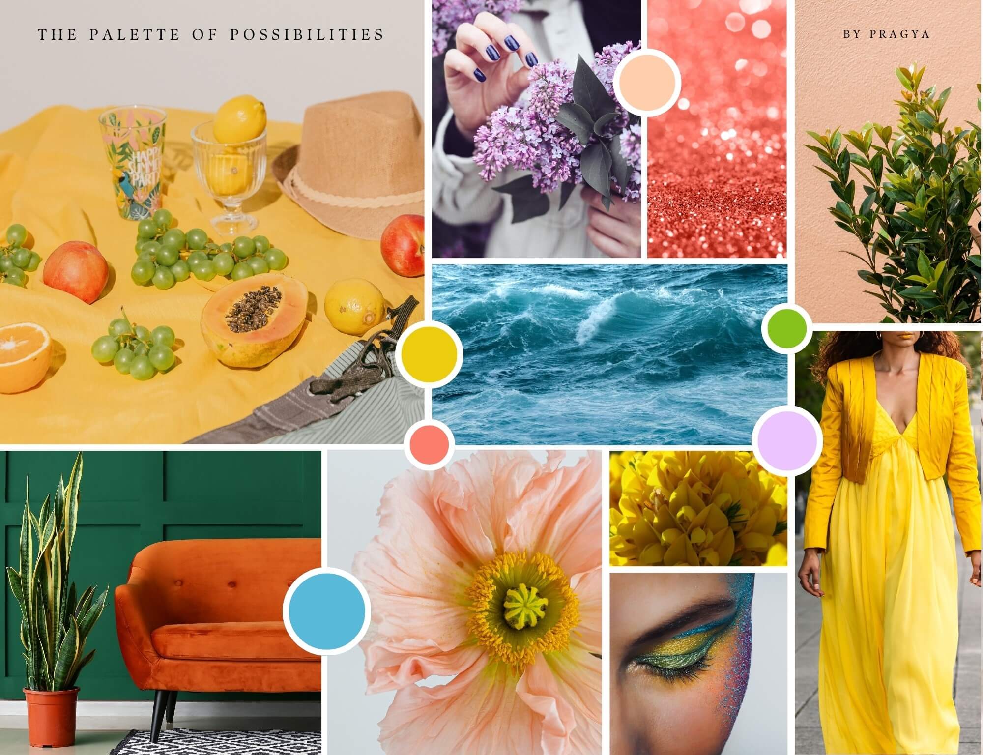 The Palette of Possibilities